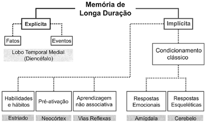 Memória de Longa Duração podem ser divididas