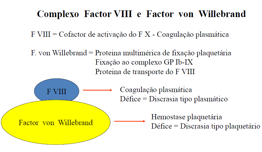 Medicina Laboratorial Importante: A doença hereditária que causa uma discrasia hemorrágica de tipo plaquetária mais frequente é a doença de Von Willebrand, que corresponde à deficiência do factor de