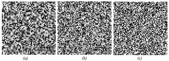 Figura 5: (a) Imagem base. (b) Imagem com 50% de ruído.