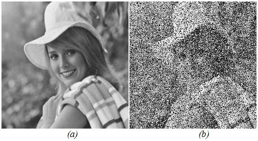 Para o treinamento da RNA-2 foram utilizadas as imagens da Figura 8, que possuem o tamanho de uma matriz de ordem 256, onde a Figura 8(b) foi obtida corrompendo a imagem da Figura 8(a) com 40% de