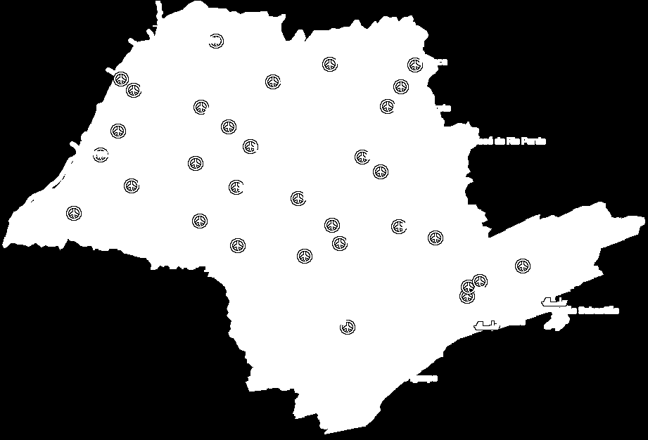 Caracterização da Infraestrutura Logística Rodovias 22.100 km Pista Simples 14.500 km Pista Dupla 5.500 km Dispositivos 2.100 km Ferrovias 5.