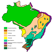 Vegetação adaptada às