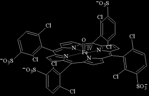Os produtos da reação enzimática são facilmente detetados e permanecem estáveis durante longos períodos. Figura 42 Horseradish http://content.answcdn.