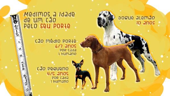 Rubricas com possibilidade de integração de marca 7. COMPORTAMENTO ANIMAL PRETENDE AJUDAR AS FAMÍLIAS QUE TENHAM ANIMAIS COM COMPORTAMENTOS DESVIANTES, QUE NA MAIORIA DAS VEZES PASSAM DESPERCEBIDOS.