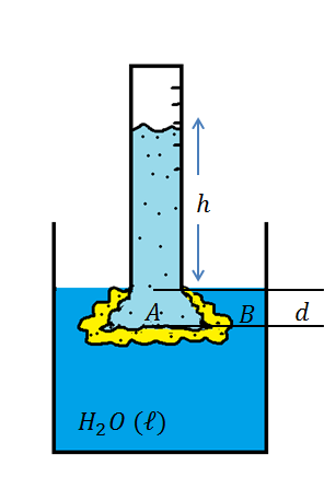 Figura 1: Sistema Osmótico Após o equilíbrio ser alcançado, dois pontos, A (dentro da solução) e B (fora da solução) que estão a uma mesma distância d da superfície do solvente, terão a mesma pressão
