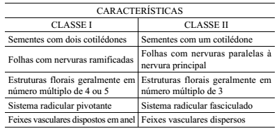 13) (UNIFESP 2010) A tabela apresenta as características gerais de duas importantes classes de Angiospermas.