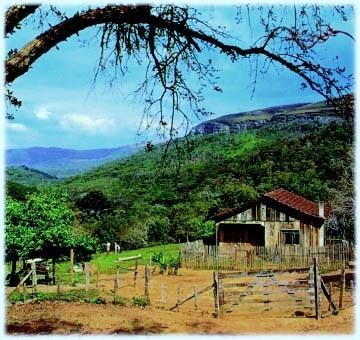 Situação atual Esgotamento Sanitário Na área rural (~29,3 milhões de habitantes 15% da