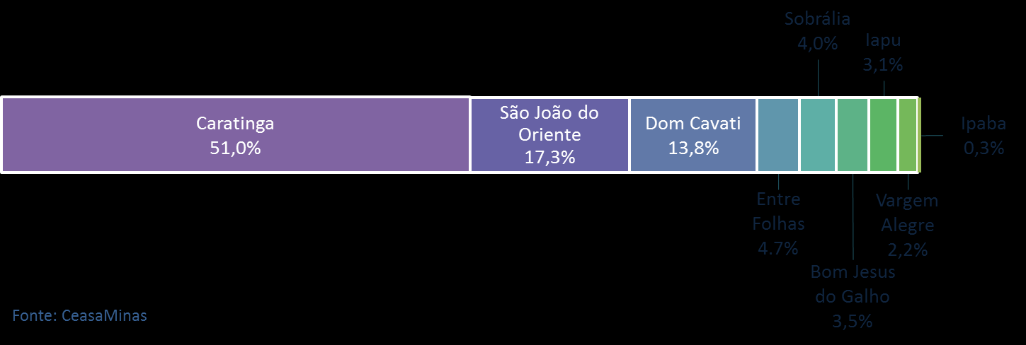 A comercialização dos produtos hortifrutigranjeiros na região também é foco de atenção quando se discute questões relacionadas ao desenvolvimento econômico e à diversificação da economia.