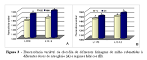 A máxima emissão de fluorescência da clorofila (F m ) foi afetada pelas doses de N (Figura 2A), sendo que as plantas bem nutridas (80 mg N dm -3 solo) apresentaram valores de F m superiores aos das