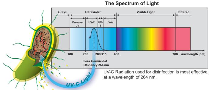 Enquanto mais fina, mais radiação UV incide sobre o solo/população.