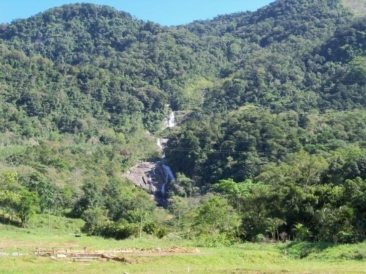 Para as Ilhas do Martins, Socó do Martins e Itacuruçá foi estimado a área total, já que foram amostradas em praticamente toda sua extensão.