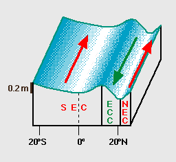 A pressão em um determinada profundidade é determinada pelo peso de água acima, de acordo com a relação hidrostática.