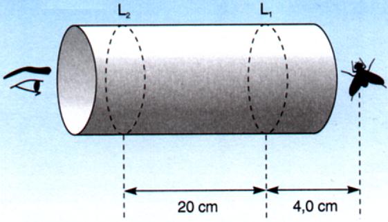 6. (UECE) Um estudante construiu um microscóio usando um tubo lástico de PVC e duas lentes convergentes, L e L 2, cujas distâncias focais medem, resectivamente, f = 3,0 cm e f 2 = 0,0 cm.