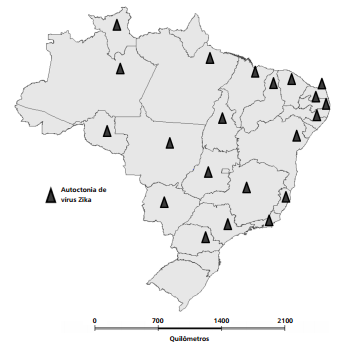 Distribuição dos casos autóctones de febre do vírus zika por UF, Brasil, 2016*.