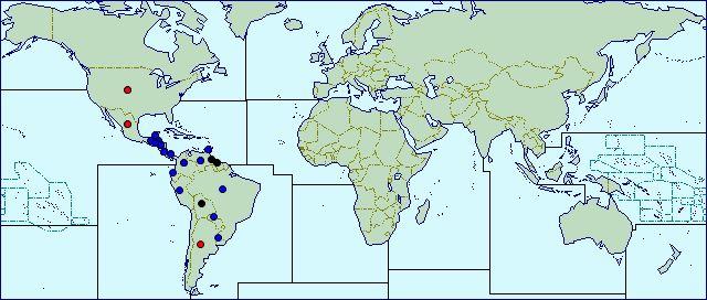 Anastrepha fraterculus Nativa das Américas Cabi,