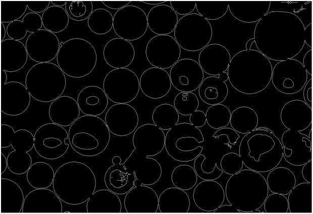 Laplace é calculado, seguido de alisamento usando um filtro de Gauss, e as bordas (Mode - Edges) ou regiões