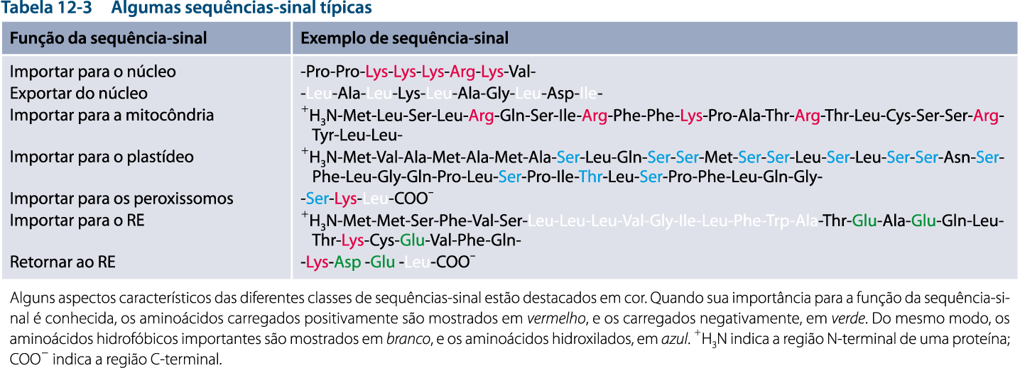 As sequências-sinal direcionam proteínas aos destinos celulares corretos As sequências-sinal são necessárias e suficientes para o endereçamento de proteínas e suas propriedades físicas são mais