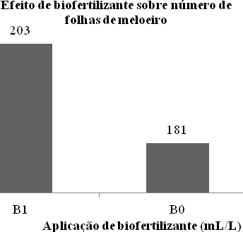 A B C D Figura 2: Efeito de biofertilizante sobre o crescimento de plantas de