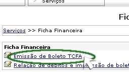 Taxa de Controle e Fiscalização Ambiental - TCFA Para emitir o boleto de pagamento, clique na opção "Emissão de Boleto TCFA" localizada no menu Serviços.