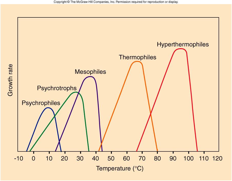 Temperatura Cada tipo de bactéria apresenta uma temperatura ótima de crescimento.