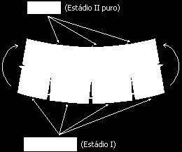 CÁLCULO DE FLECHAS MESMO COM OS ENORMES AVANÇOS A ESTIMATIVA DA FLECHA É UM GRANDE PARADIGMA ENVOLVE ASPECTOS DE