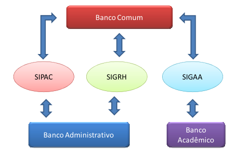 Bancos de