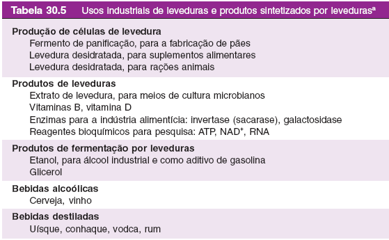 Importância econômica de leveduras Doenças causadas por fungos o Micose: qualquer infecção de origem fúngica.