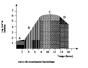 Fase lag (A): esta fase de crescimento ocorre quando as células são transferidas de um meio para outro ou de um ambiente para outro.