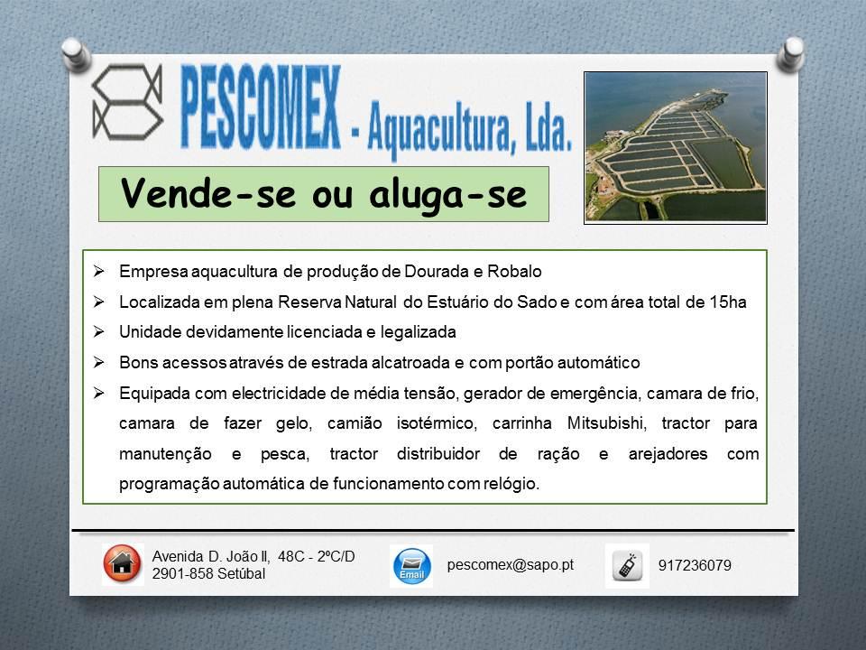 7. Classificados Estimado associado e produtor, esta é uma secção destinada e reservada apenas para si.