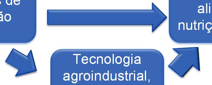 Abordagem: Cadeia produtiva agropecuária Fluxo de inovação na cadeia produtiva Novas ciências: biotecnologia, Tecnologias nanotecnologia, poupa-terra geotecnologia Automação, Tecnologias ag.