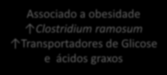 Classes Afetadas pela Dieta Filo Firmicutes Associado a obesidade