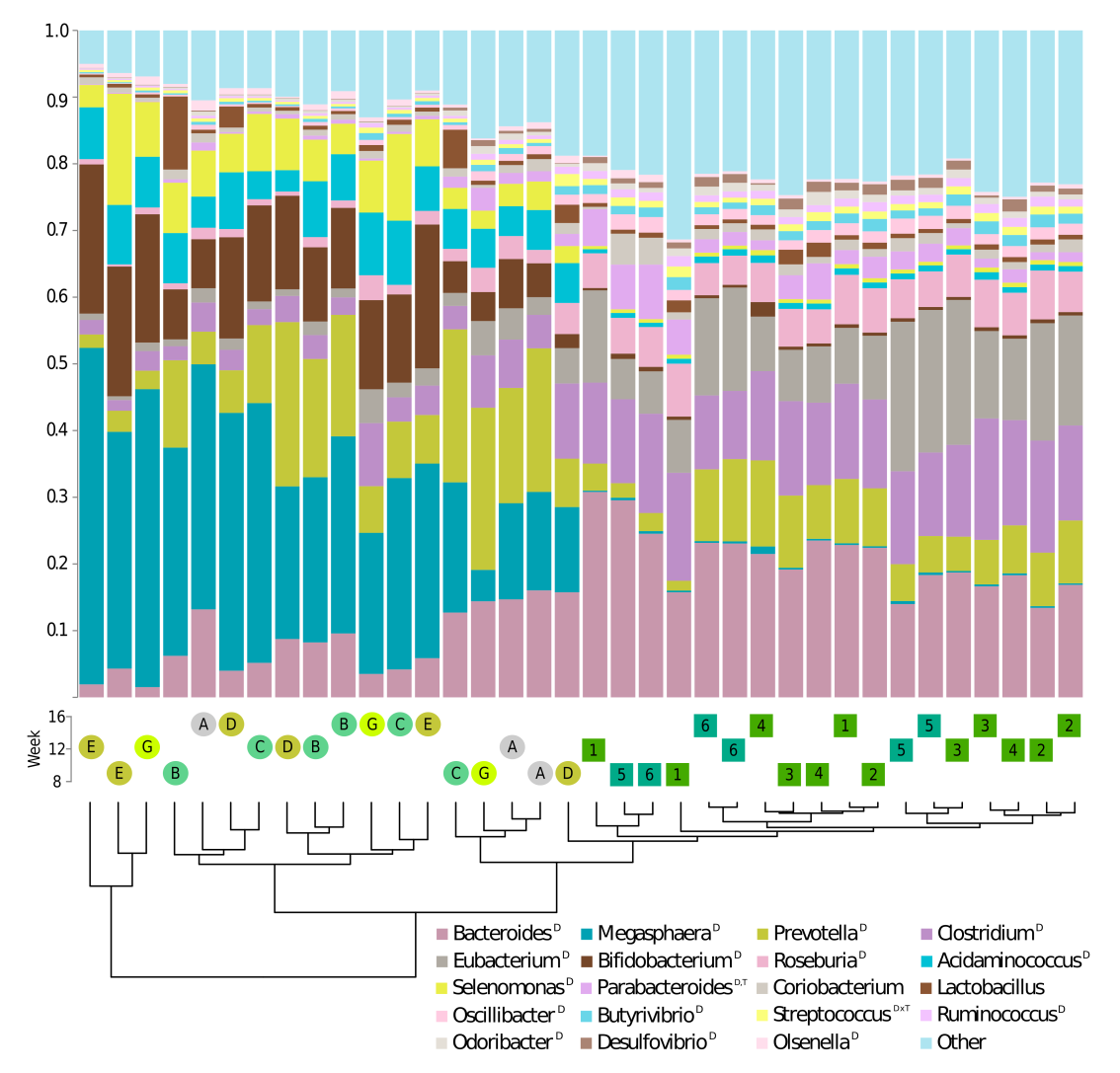 Proteína: Carboidrato Dietético Microbioma de Gatos (filhotes) Moderada Proteína Alta Proteína 324 gêneros alterados pela dieta 2,000