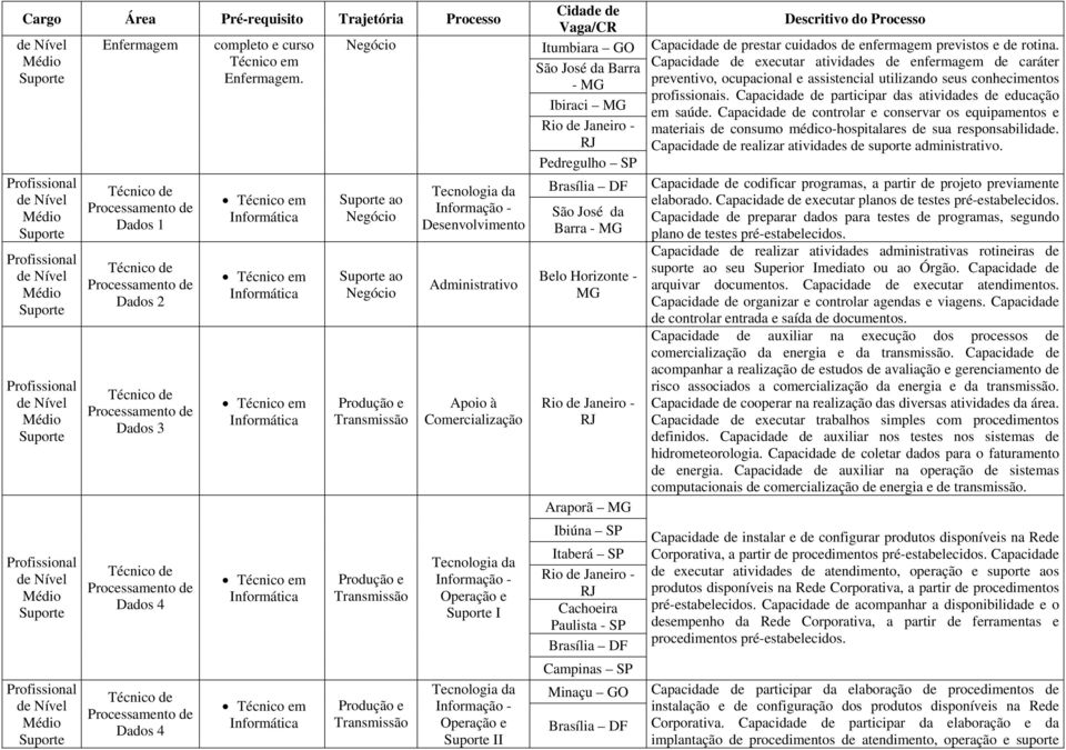 Informática Informática Informática Informática Informática Tecnologia da Informação - Desenvolvimento Administrativo Apoio à Comercialização Tecnologia da Informação - Operação e Suporte I