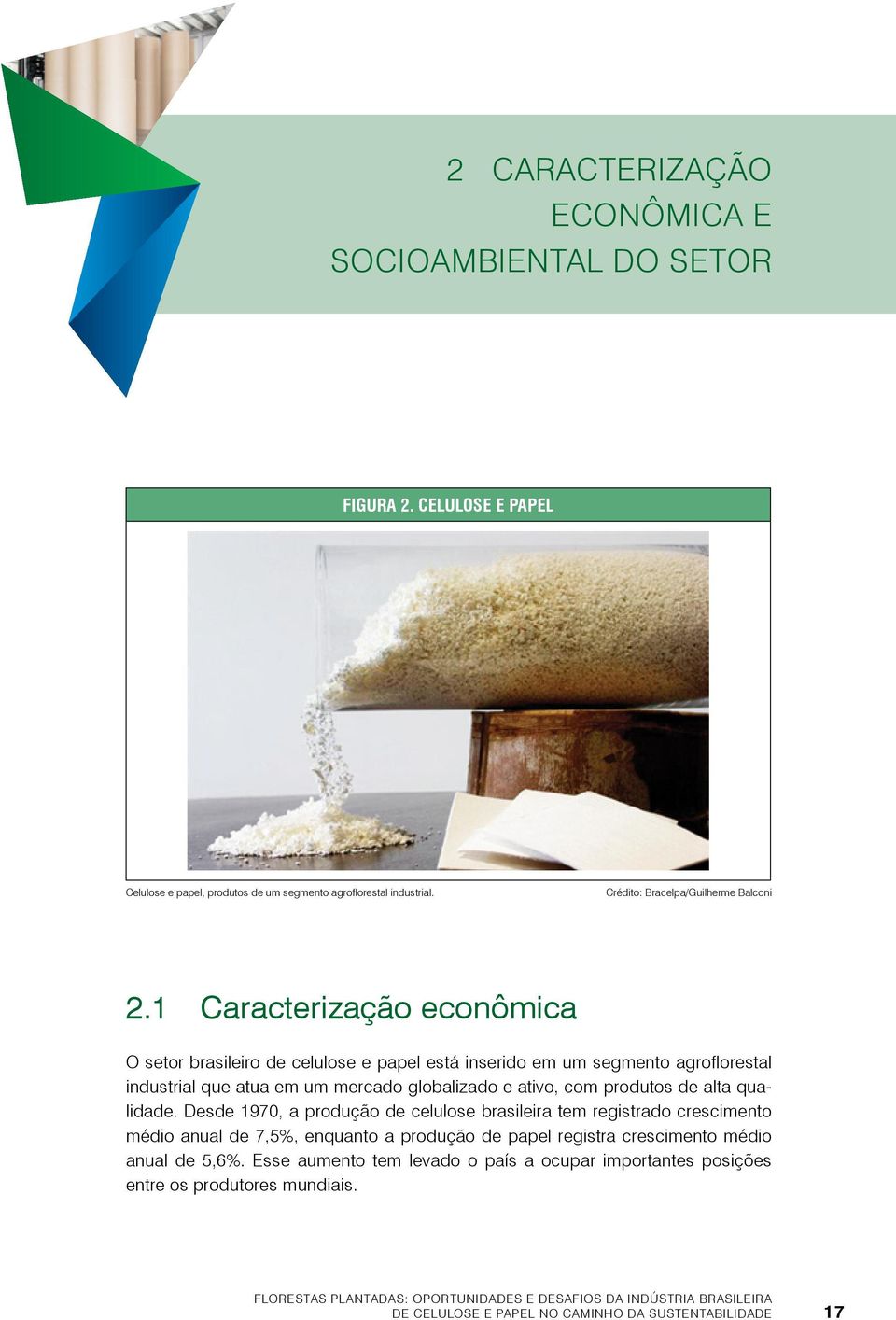 qualidade. Desde 1970, a produção de celulose brasileira tem registrado crescimento médio anual de 7,5%, enquanto a produção de papel registra crescimento médio anual de 5,6%.