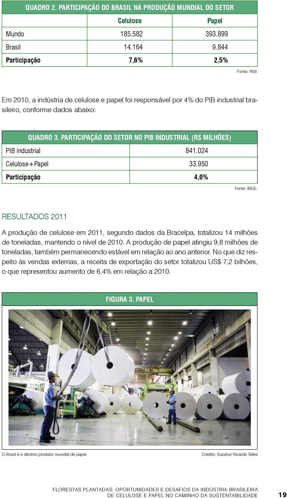 024 Celulose+Papel 33.950 Participação 4,0% Fonte: IBGE. Resultados 2011 A produção de celulose em 2011, segundo dados da Bracelpa, totalizou 14 milhões de toneladas, mantendo o nível de 2010.