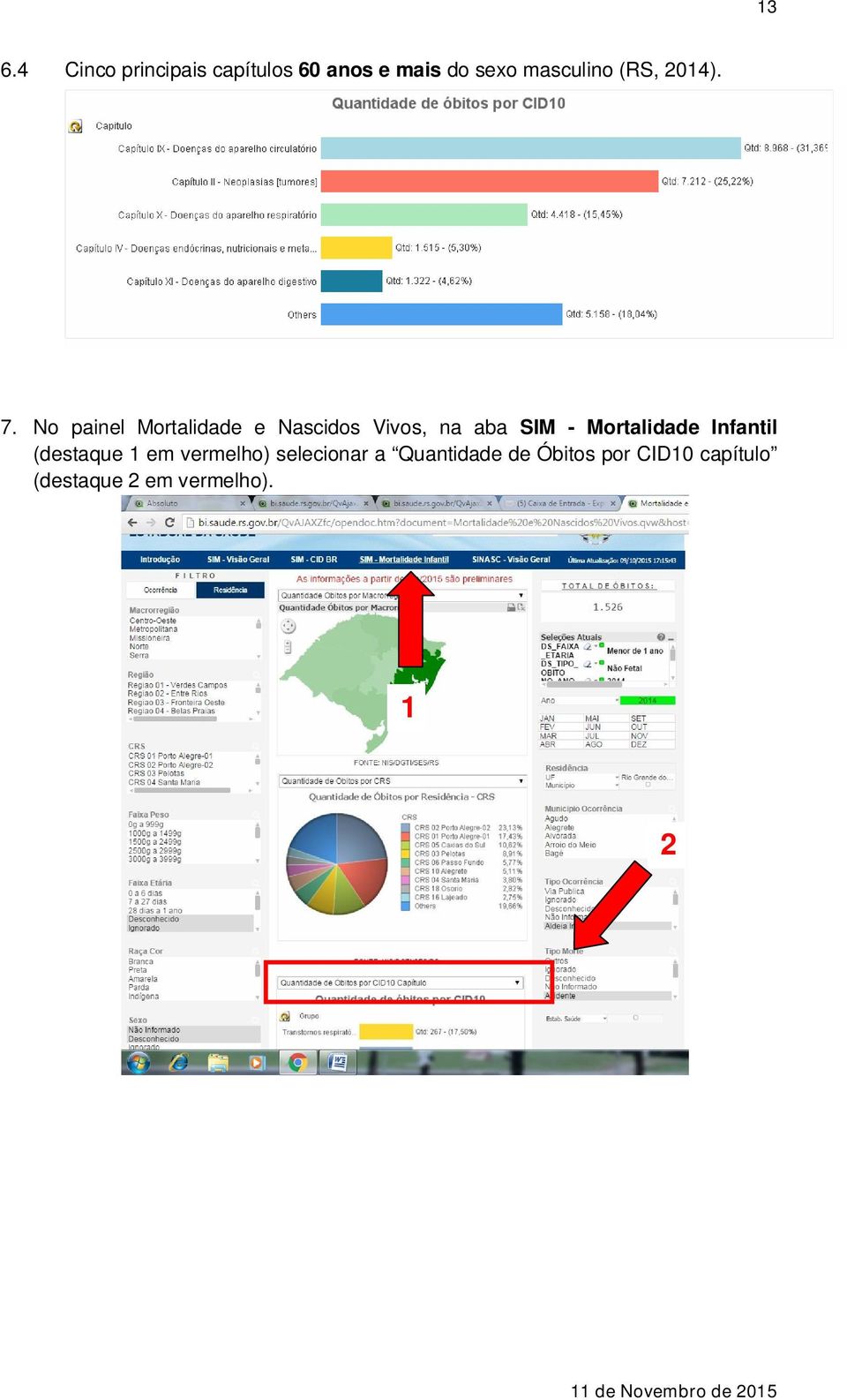 No painel Mortalidade e Nascidos Vivos, na aba SIM -