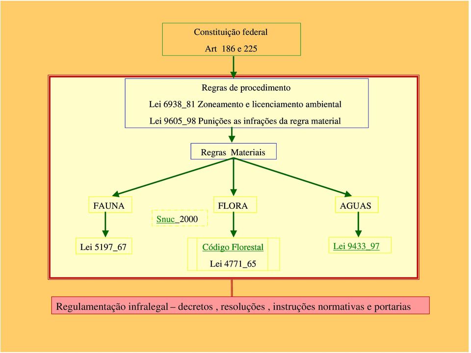 Materiais FAUNA FLORA AGUAS Snuc_2000 Lei 5197_67 Código Florestal Lei 4771_65 Lei