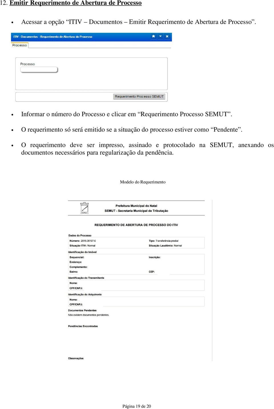 O requerimento só será emitido se a situação do processo estiver como Pendente.