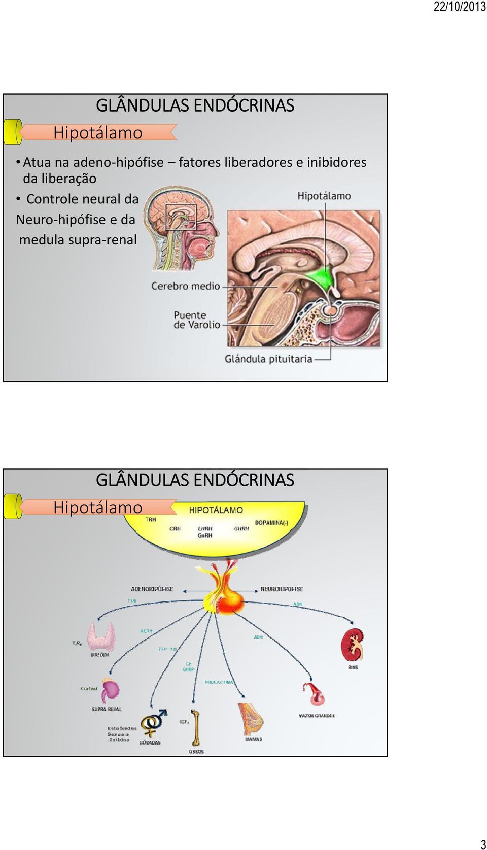 liberação Controle neural da Neuro