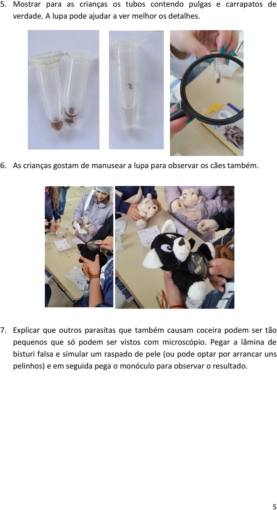 Explicar que outros parasitas que também causam coceira podem ser tão pequenos que só podem ser vistos com microscópio.