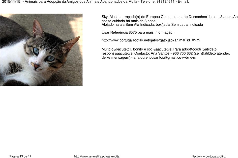 animal_id=8575 Muito dócil, bonito e sociável.para adopção responsável.