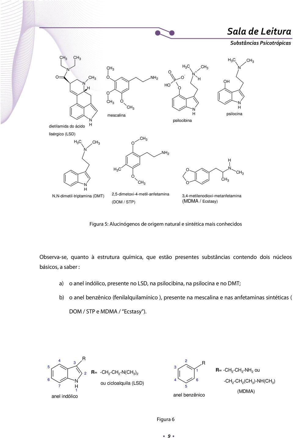 substâncias contendo dois núcleos básicos, a saber : a) o anel indólico, presente no LSD, na psilocibina, na psilocina e no DMT; b) o anel benzênico (fenilalquilamínico ), presente na