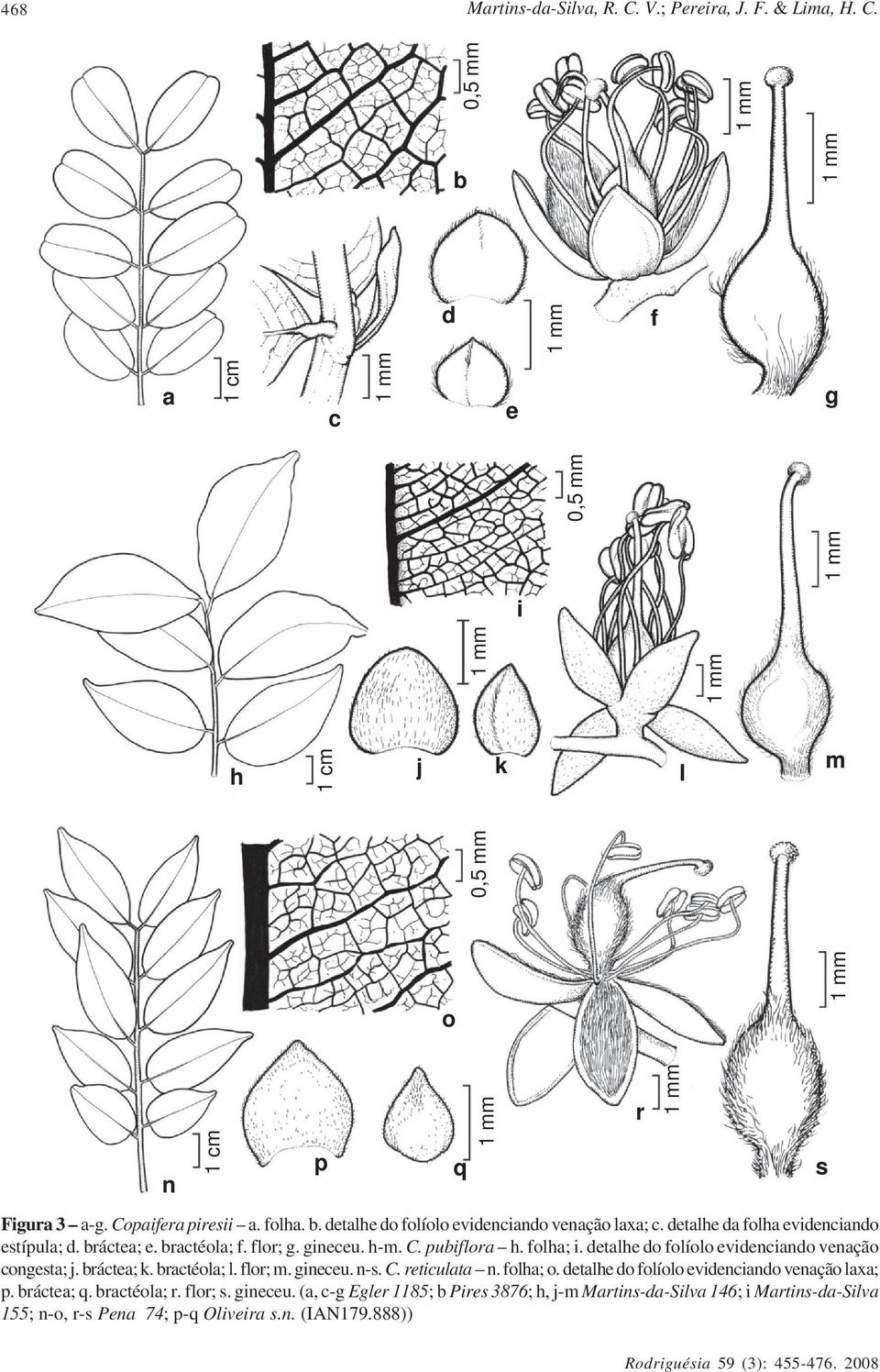 bráctea; k. bractéola; l. flor; m. gineceu. n-s. C. reticulata n. folha; o. detalhe do folíolo evidenciando venação laxa; p. bráctea; q. bractéola; r. flor; s. gineceu. (a, c-g Egler 1185; b Pires 3876; h, j-m Martins-da-Silva 146; i Martins-da-Silva 155; n-o, r-s Pena 74; p-q Oliveira s.