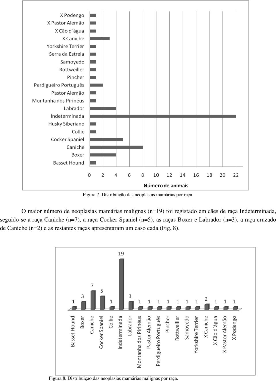 seguido-se a raça Caniche (n=7), a raça Cocker Spaniel (n=5), as raças Boxer e Labrador (n=3), a raça