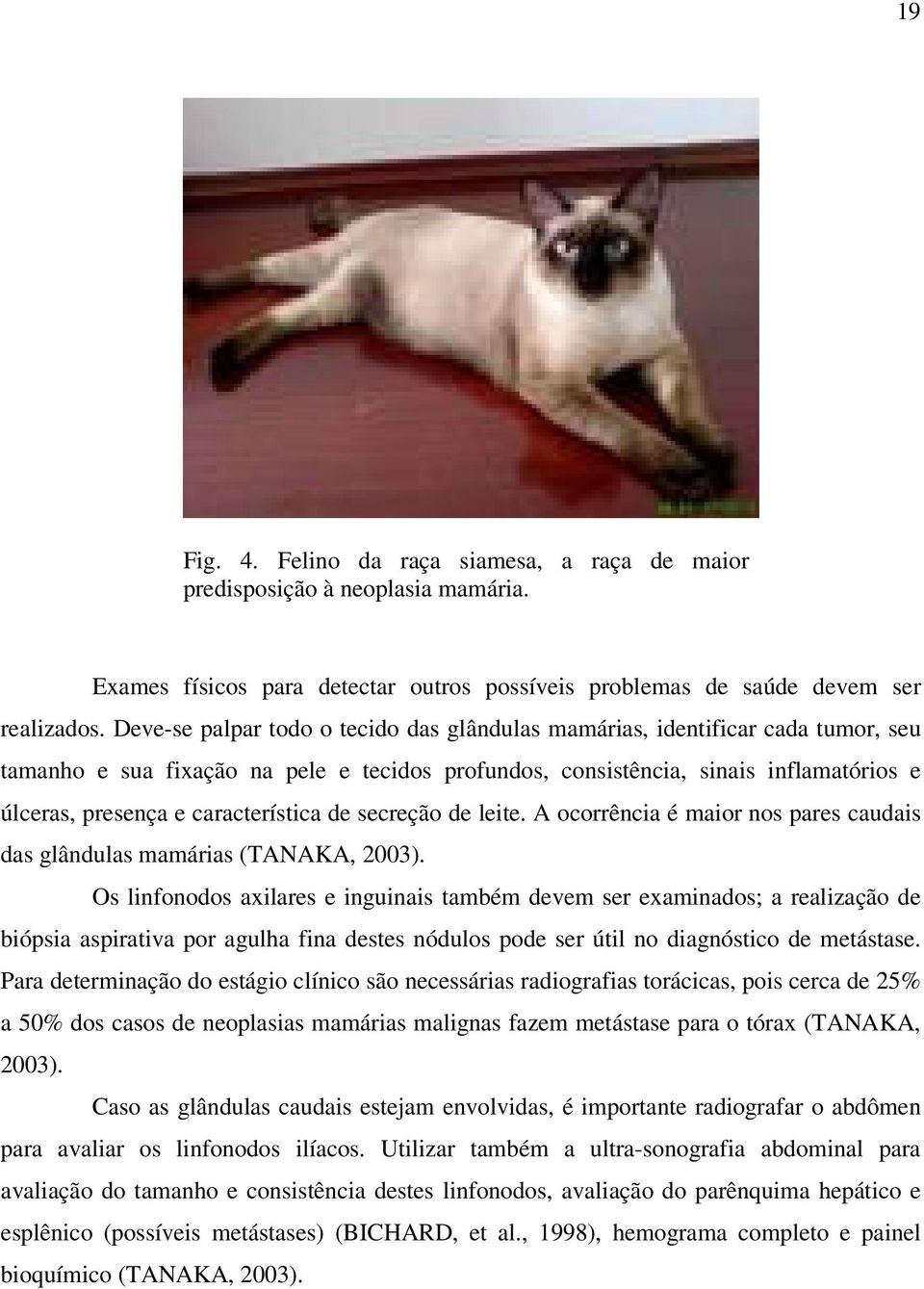 característica de secreção de leite. A ocorrência é maior nos pares caudais das glândulas mamárias (TANAKA, 2003).