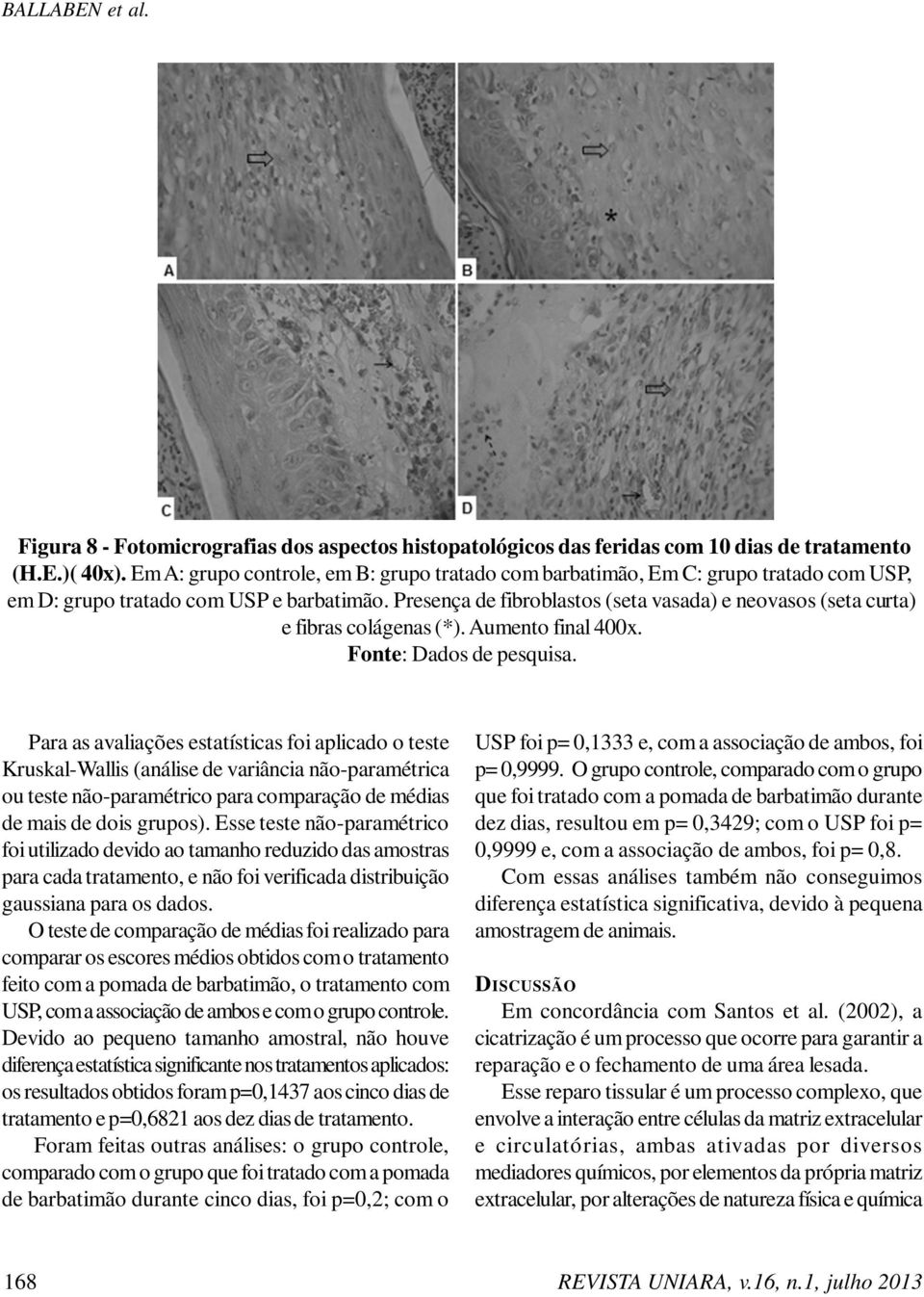 Presença de fibroblastos (seta vasada) e neovasos (seta curta) e fibras colágenas (*). Aumento final 400x.