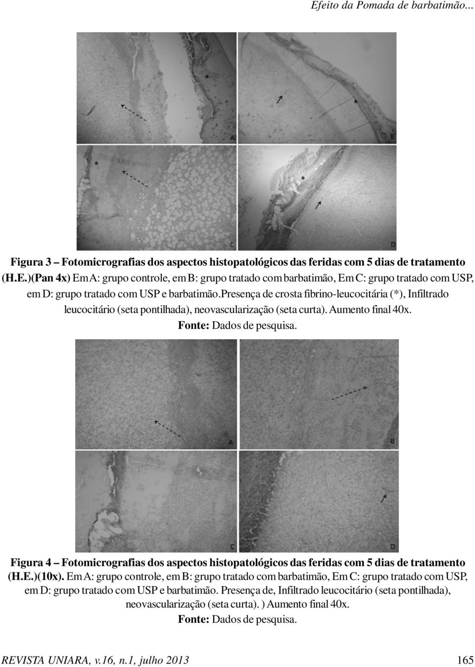 Figura 4 Fotomicrografias dos aspectos histopatológicos das feridas com 5 dias de tratamento (H.E.)(10x).