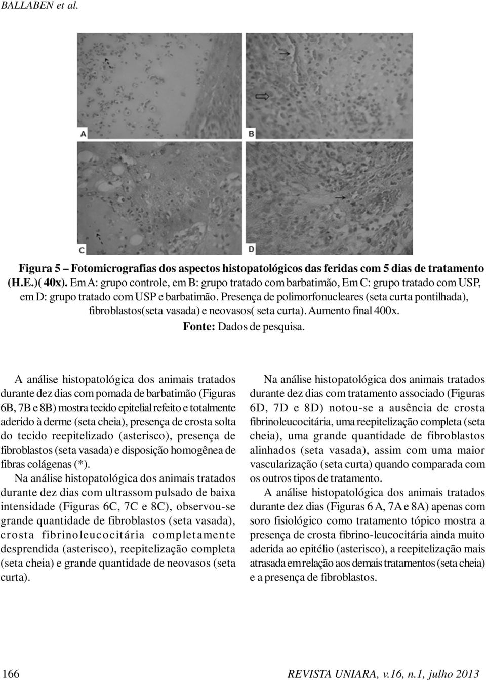 Presença de polimorfonucleares (seta curta pontilhada), fibroblastos(seta vasada) e neovasos( seta curta). Aumento final 400x.