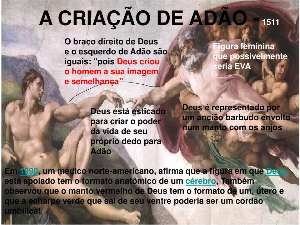 envolto num manto com os anjos Em 1990, um médico norte-americano, afirma que a figura em que Deus está apoiado tem o formato anatômico de um