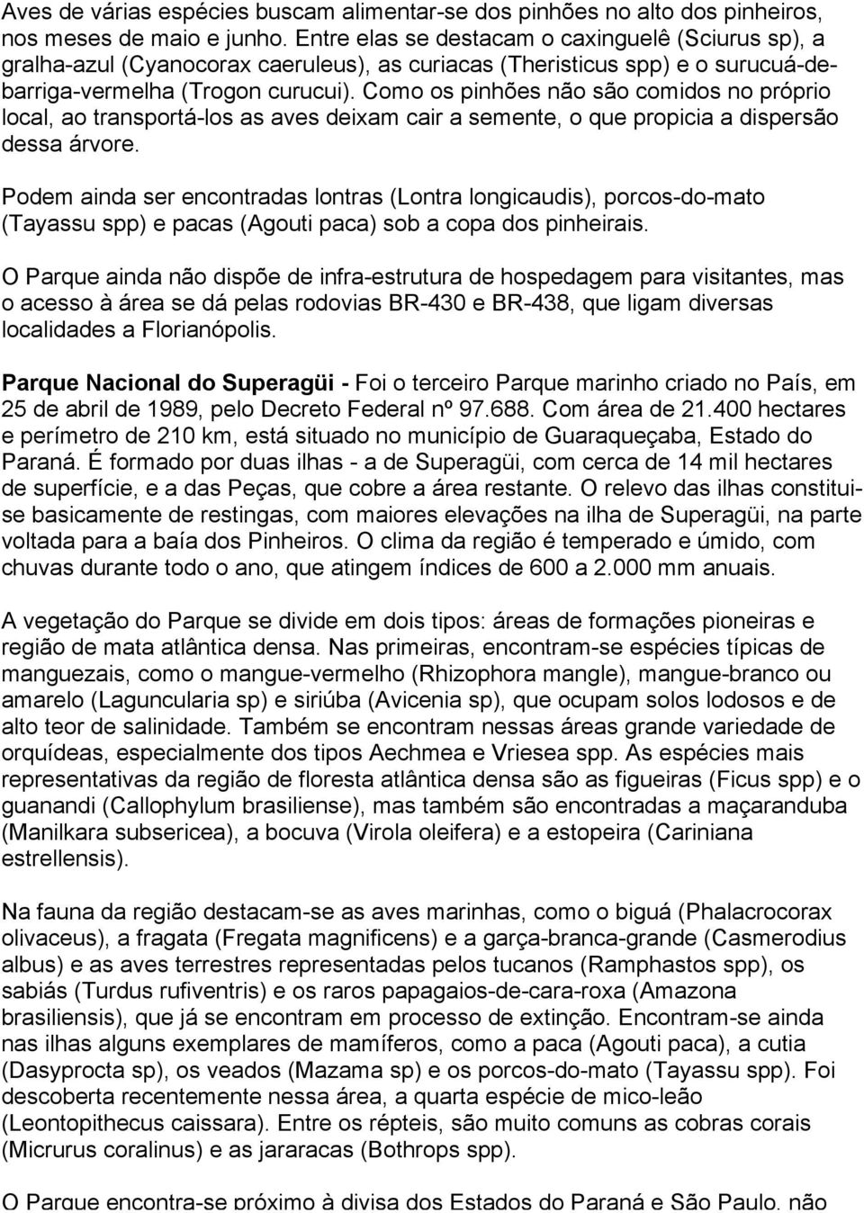 Como os pinhões não são comidos no próprio local, ao transportá-los as aves deixam cair a semente, o que propicia a dispersão dessa árvore.